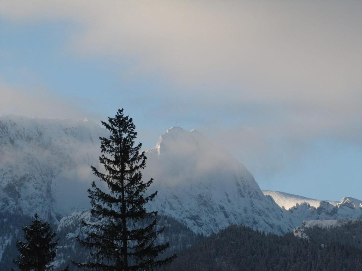 Domek Na Zaciszu Zakopane Kültér fotó